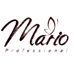 ماریو mario