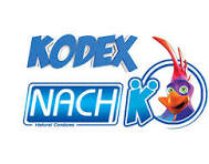 ناچ کدکس Nach Kodex