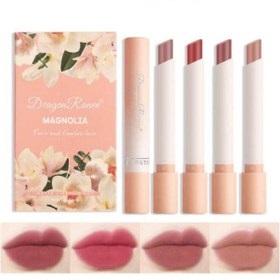 رژلب جامد بهاری برند دراگون رانی 