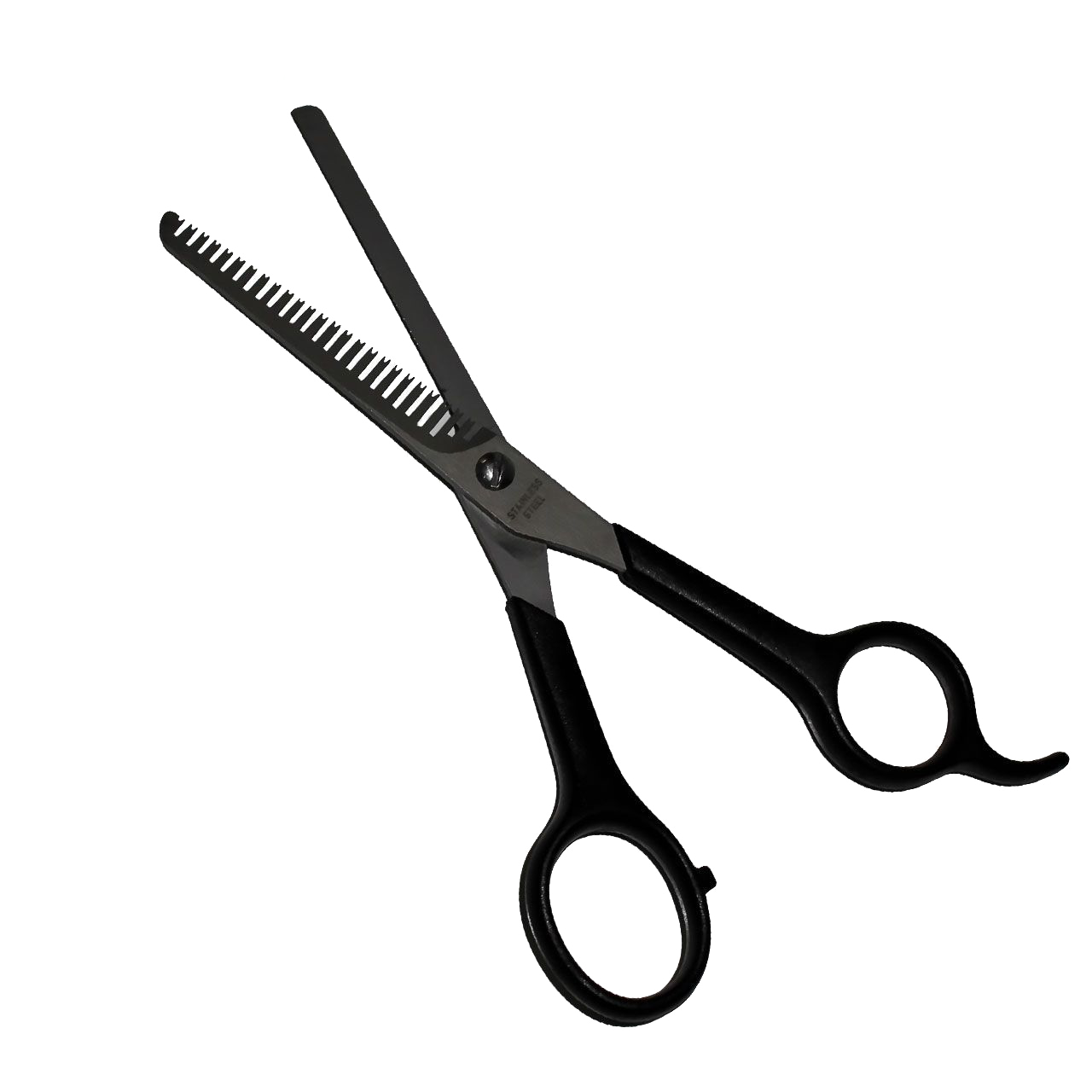 سالنی و کارآموزی